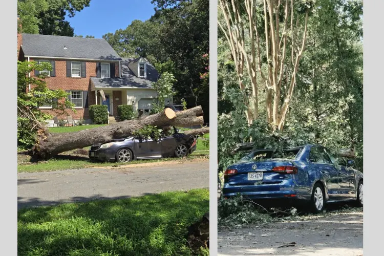 Henrico neighborhood cleans up after storm rips trees and crushes cars