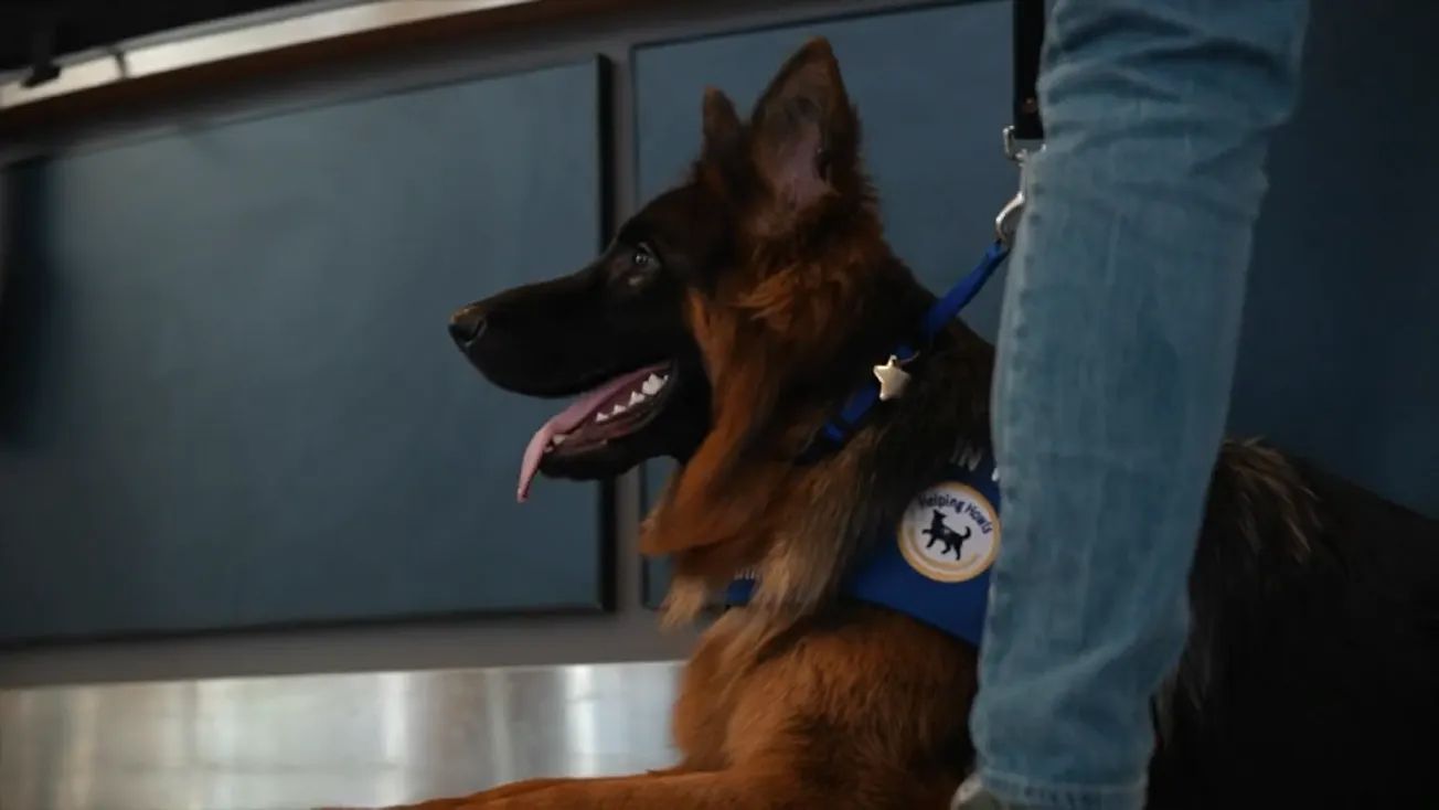 Richmond airport opens doors to service dogs in training with Helping Howls program
