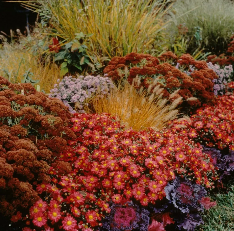In the Garden: Bring fall indoors with garden-fresh arrangements