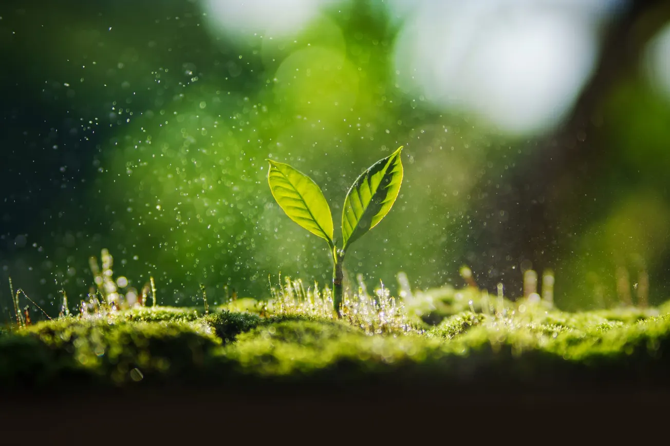 Henrico Environmental Watch: Air-permit violations, PFAS rules and data-center wetland review among August developments