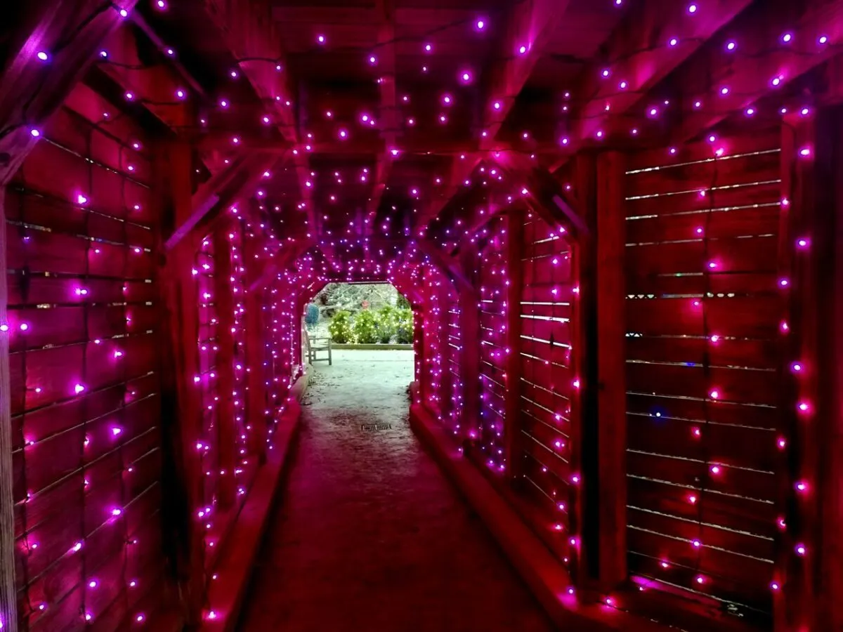 Lewis Ginter provides $1 access for EBT recipients