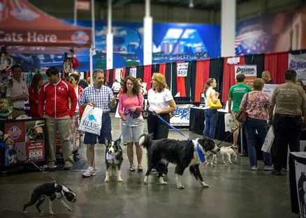 Henrico Humane Society's Pet Expo returns Feb. 24