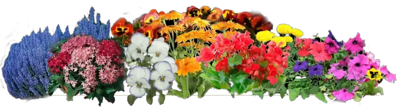 Henrico Master Gardeners to hold plant sale June 12