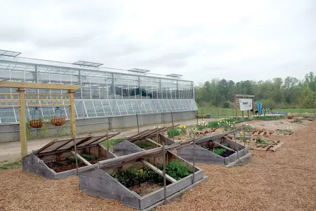 Farms feed food banks to fight hunger