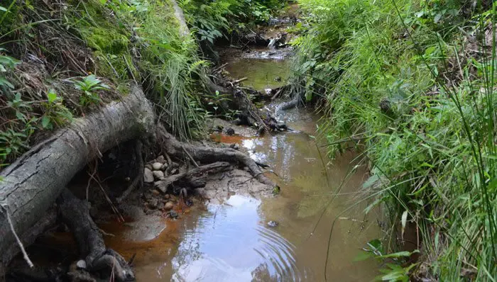 $315k grant will help restore stream at Lewis Ginter
