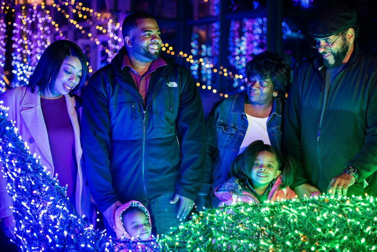 An illuminating view of nature