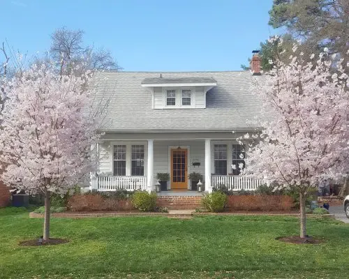 Keep Henrico Beautiful honors Land Lovers, Clean Business