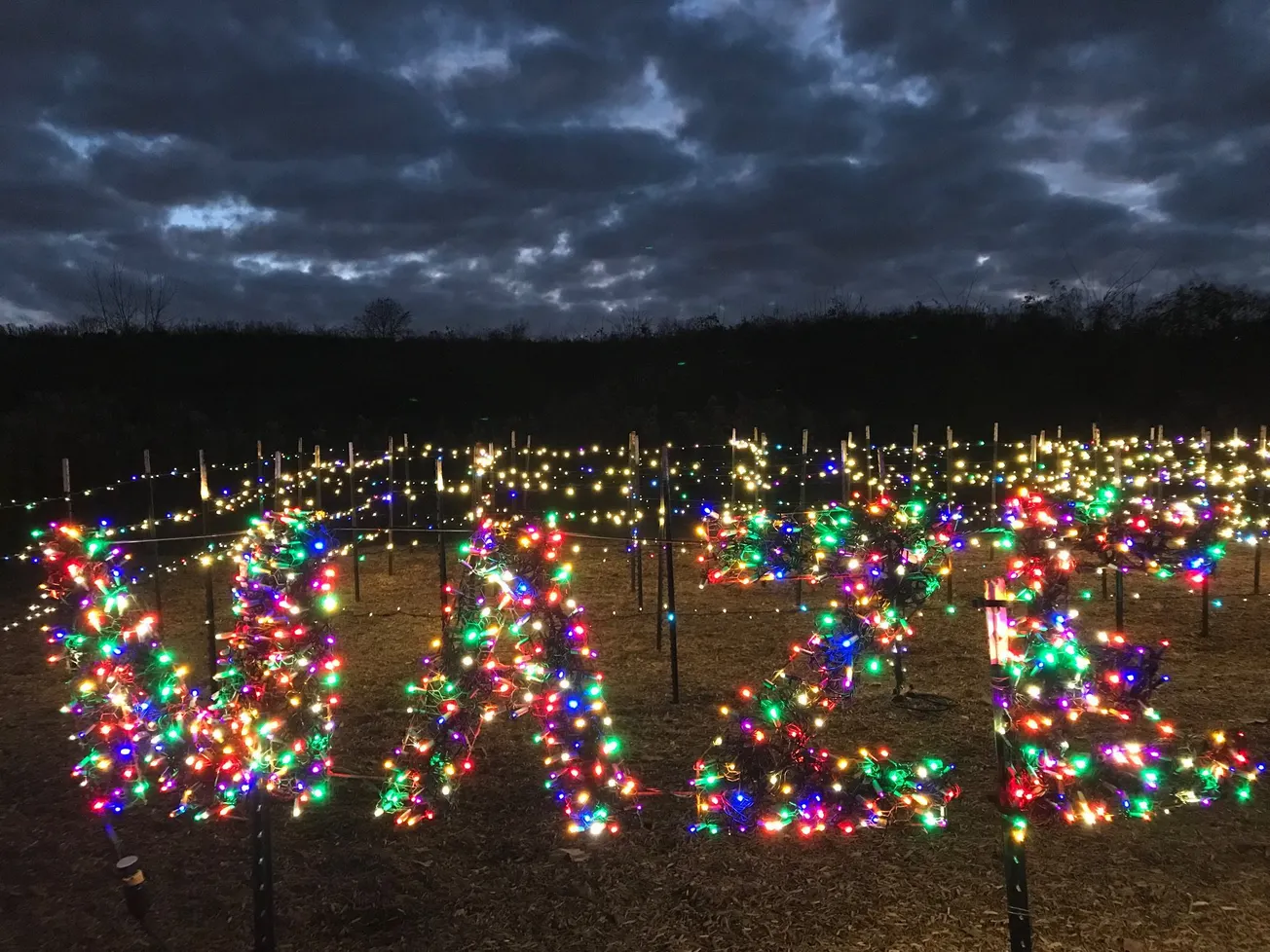 Lewis Ginter's Gardenfest of Lights opens