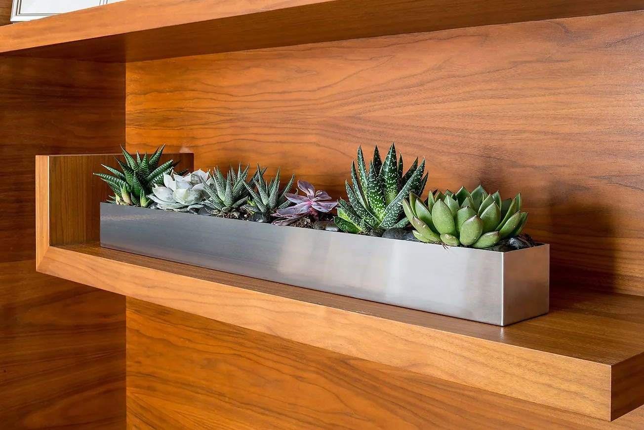 In the Garden: Grow a beautiful indoor succulent garden