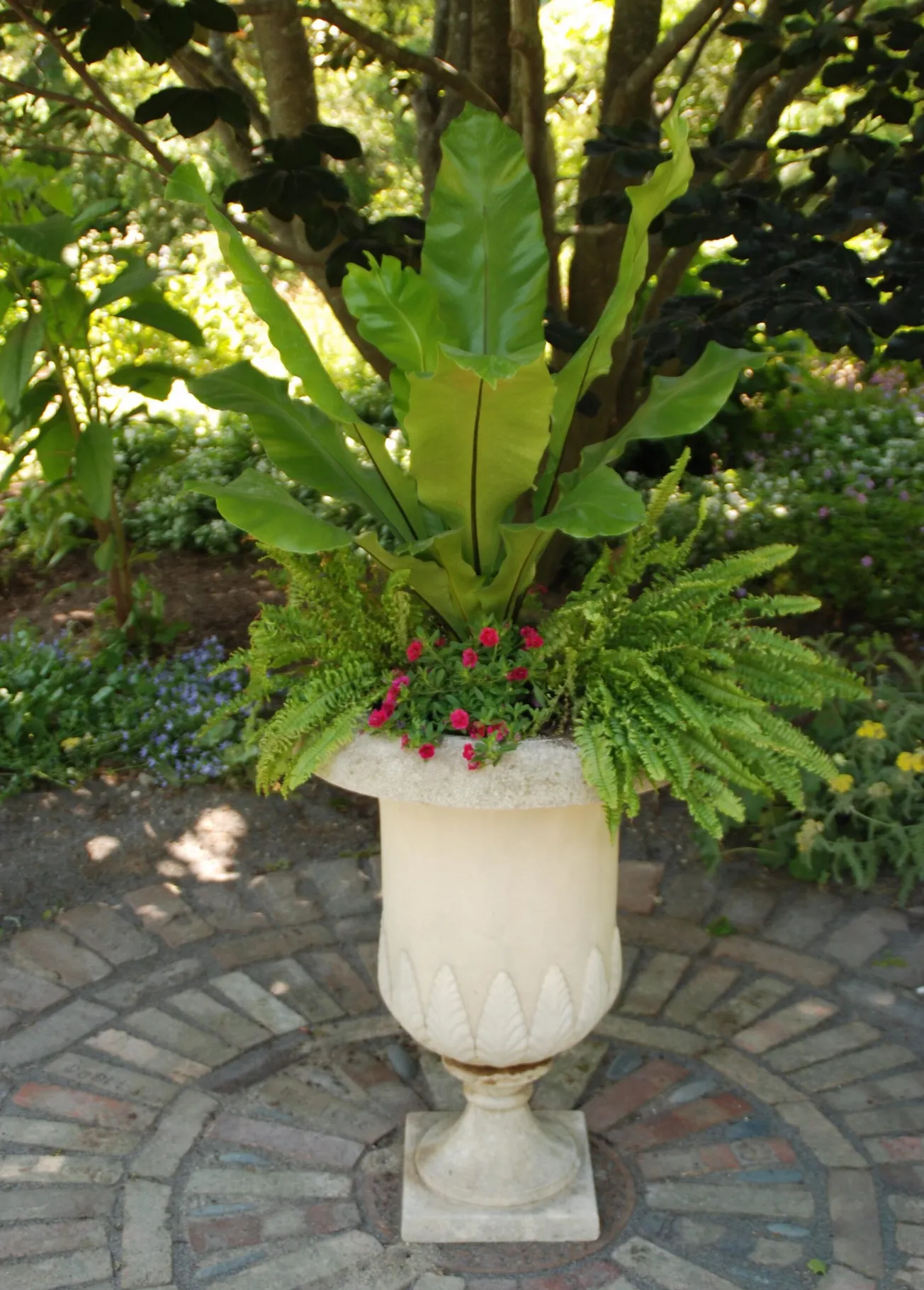 In the Garden: Keep plants thriving despite the heat of summer