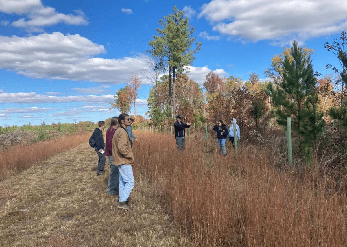 Varina conservation area, walking trails to open June 3
