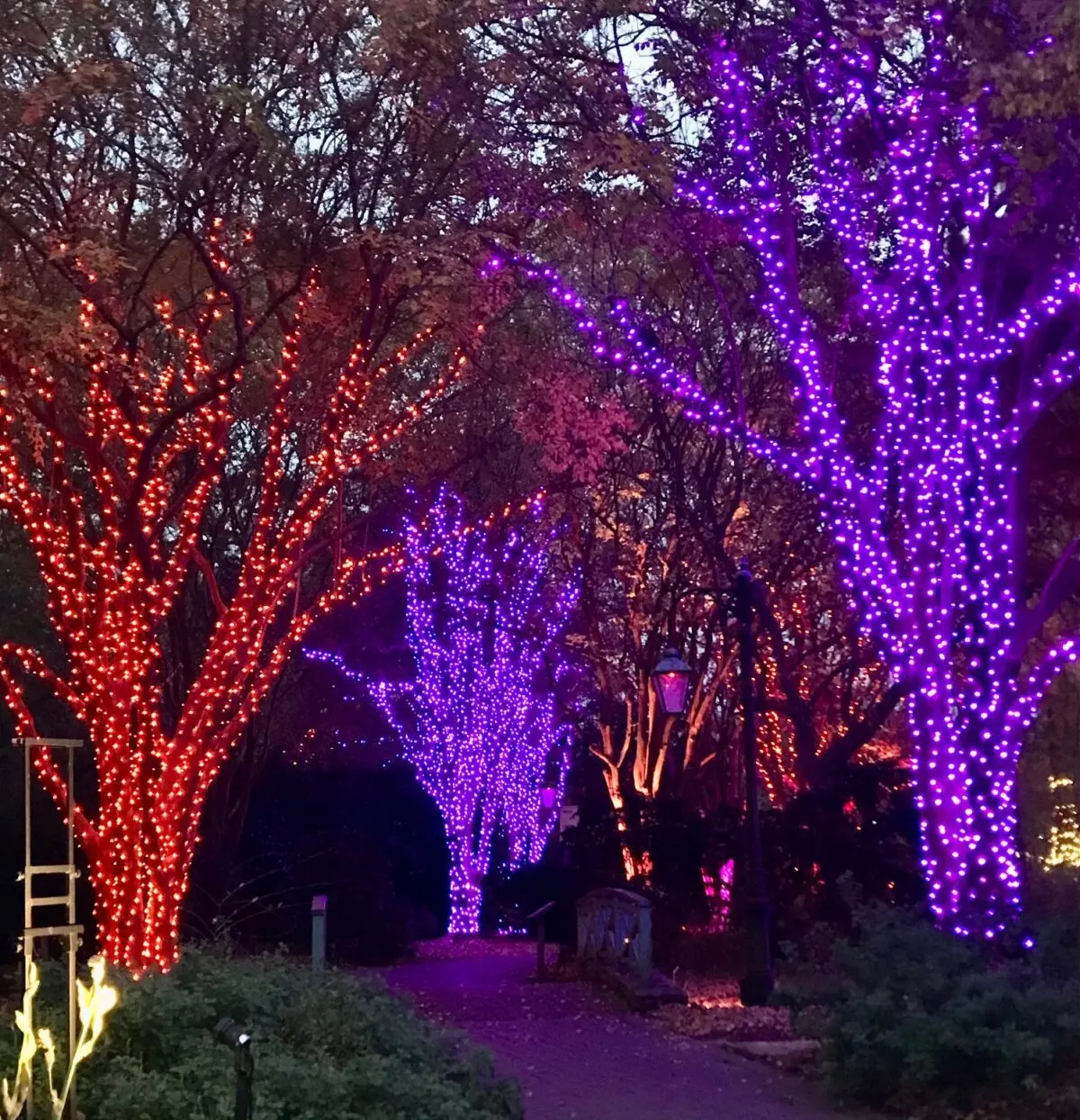 PHOTOS: A preview of the 2023 Dominion Energy GardenFest of Lights at Lewis Ginter Botanical Garden