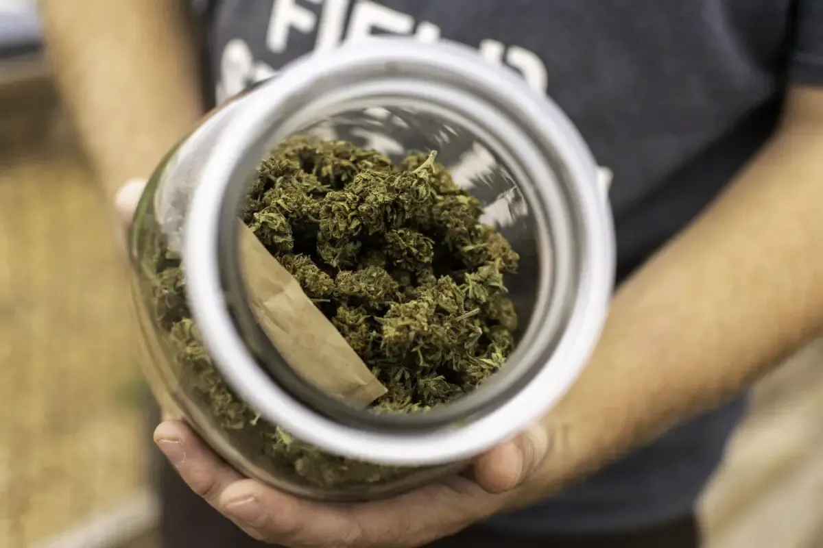 Bills advance to protect state employees who access medical cannabis