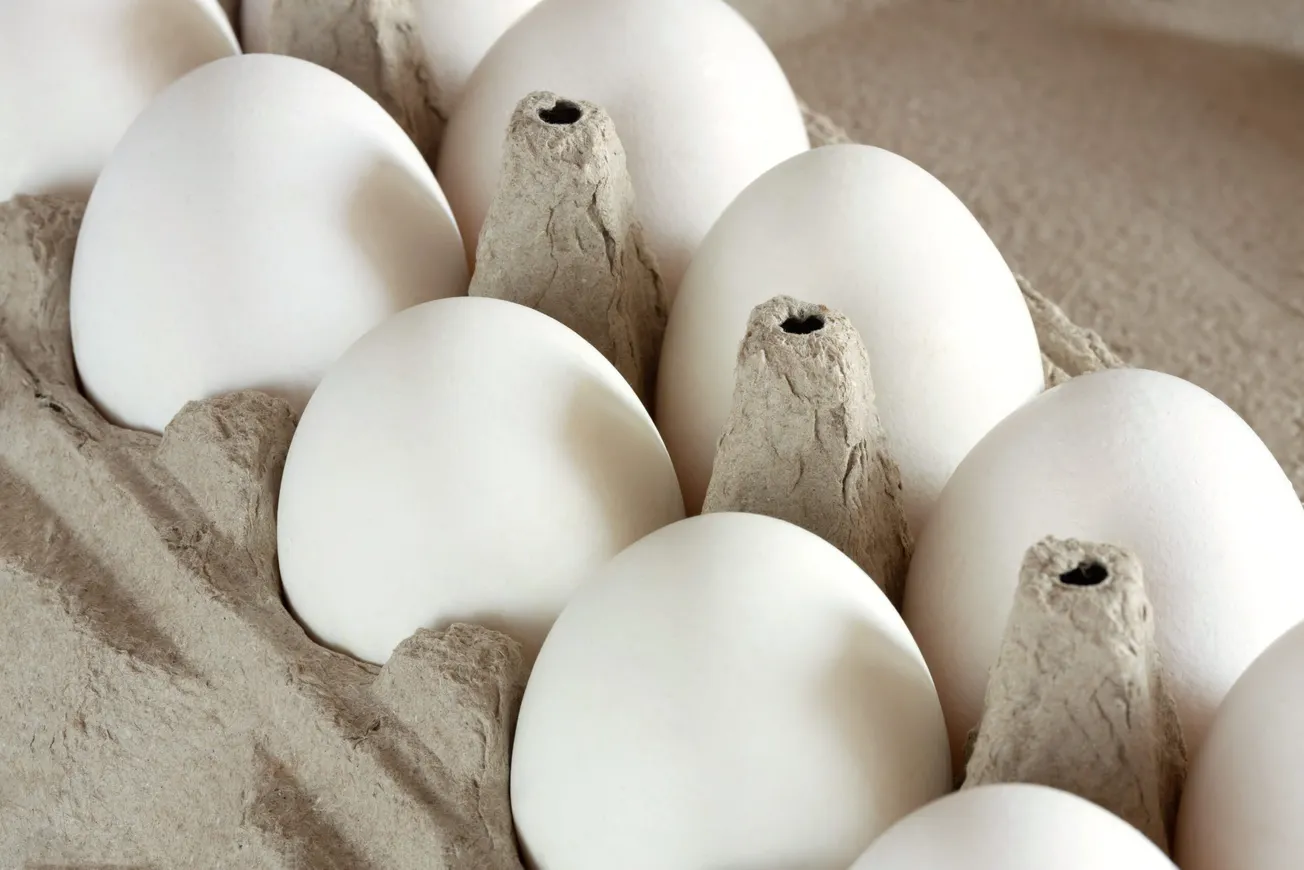 Virginia Egg Council donates 20 cases of eggs to Feed More