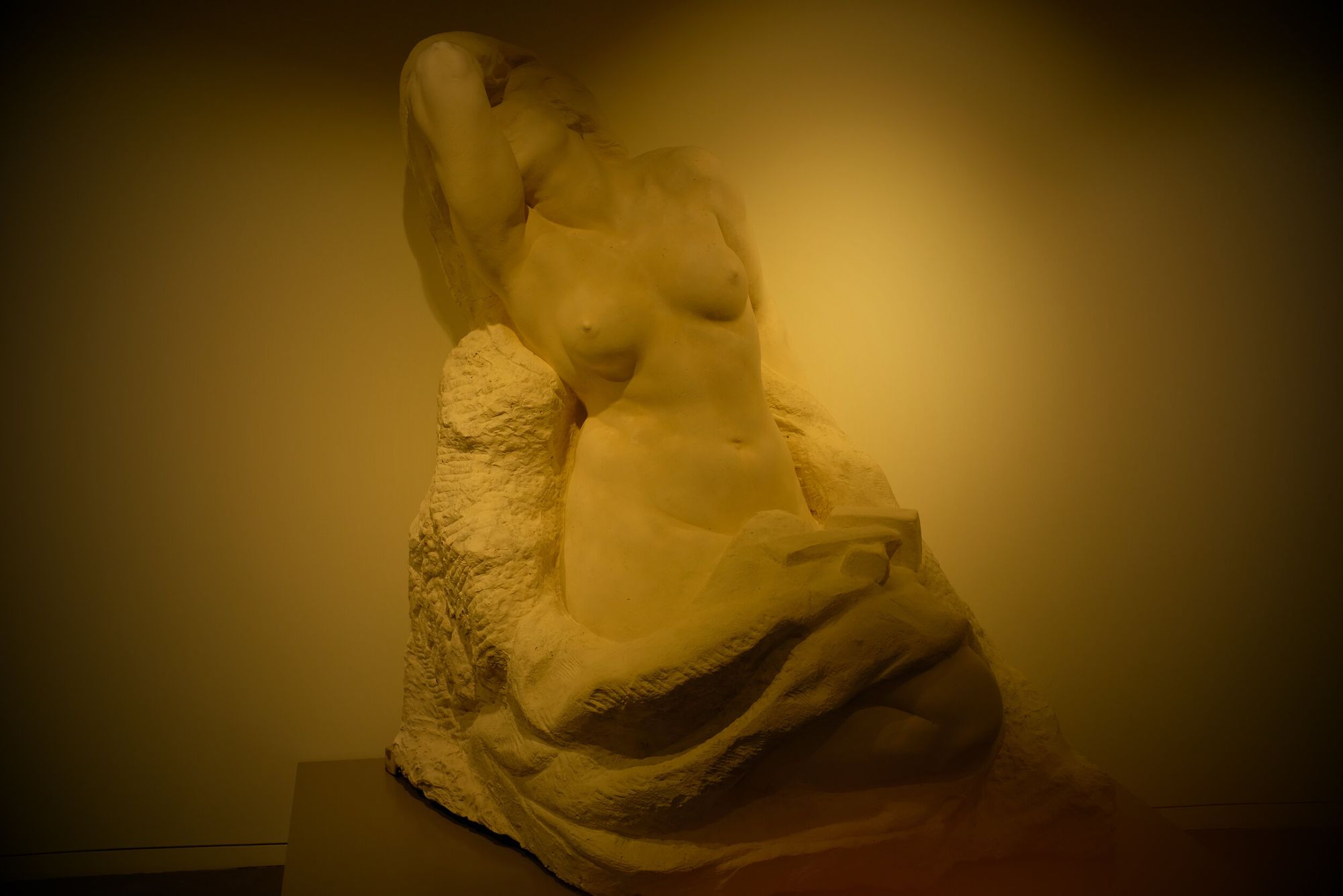 DSCF0546.jpg