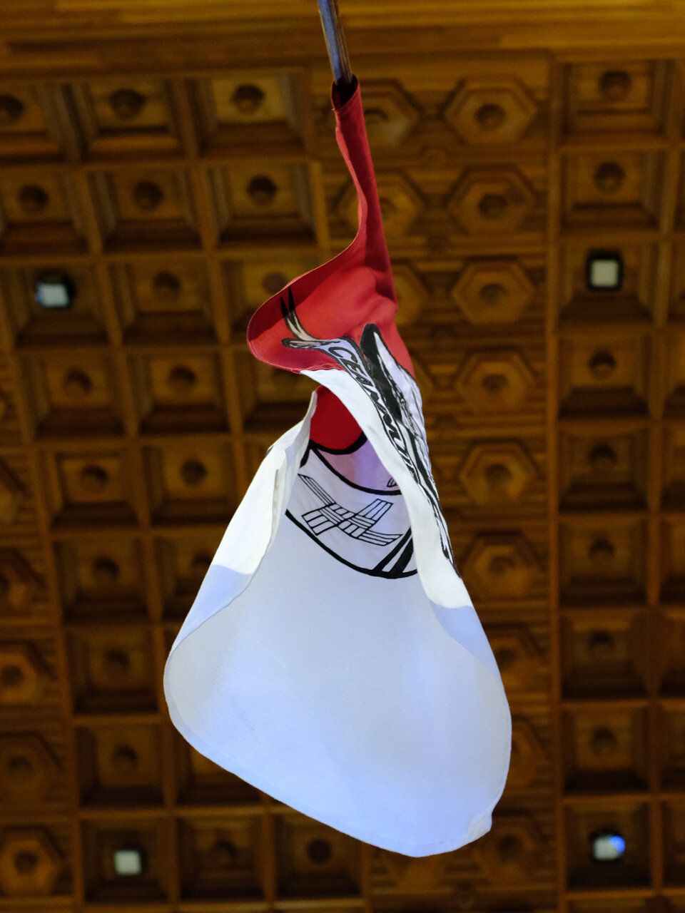 DSCF0313.jpg