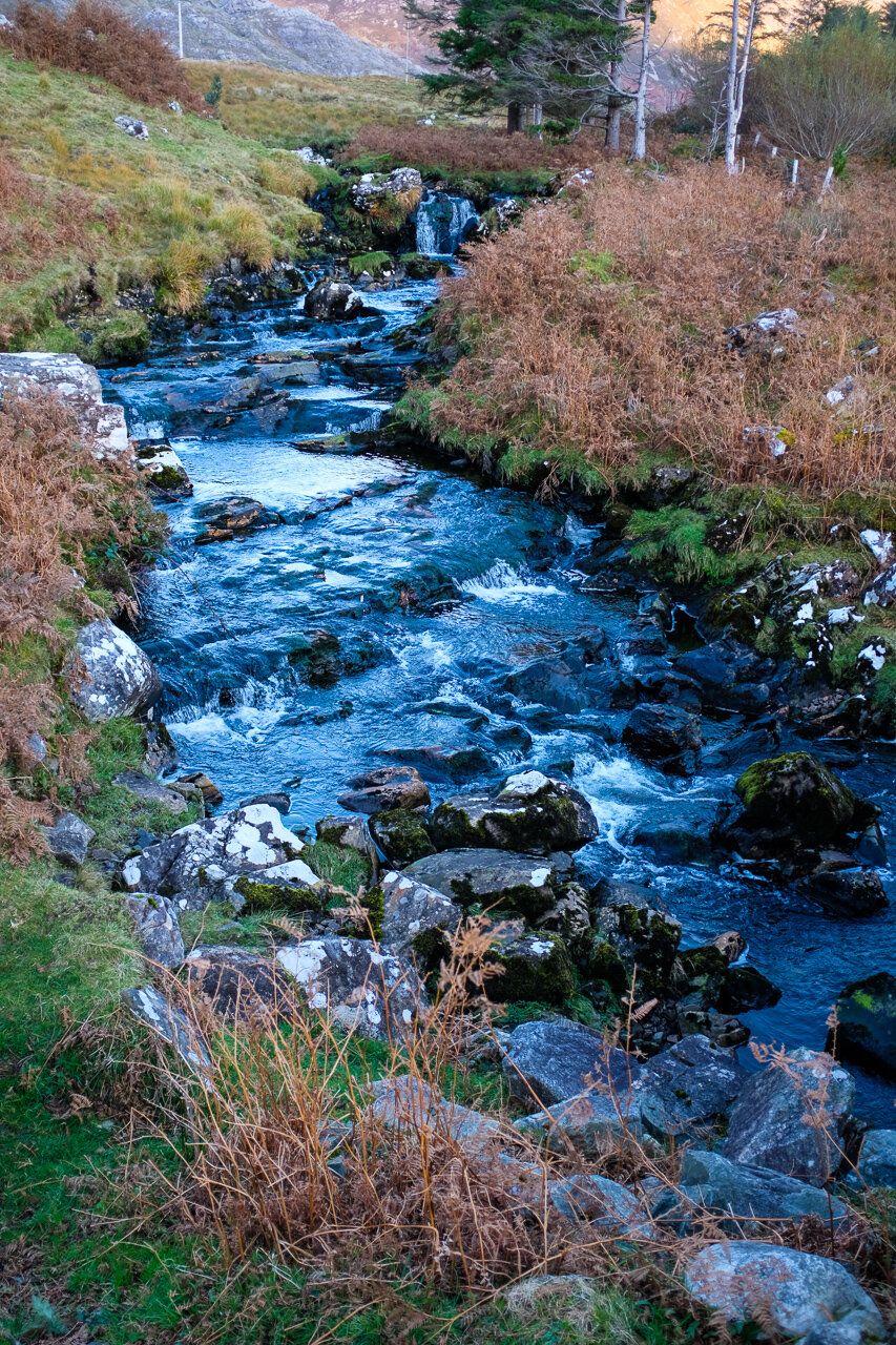 DSCF0457.jpg