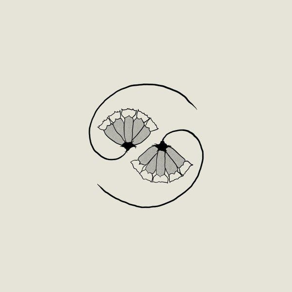 #7. Godspeed you Black Emperor - G_ds Pee AT STATES END - I don’t really know much about this band, all the reviews said ‘Canadian’, ‘swirling’ and ‘menacing’, and this album didn’t disappoint. It’s a concept piece, strung together with samples from short wave radio and massive strings, as well as lacerating guitar riffs and military precision drums. It feels by hopeful and dystopian at the same time - almost spot on for 2021. Bandcamp /  Web