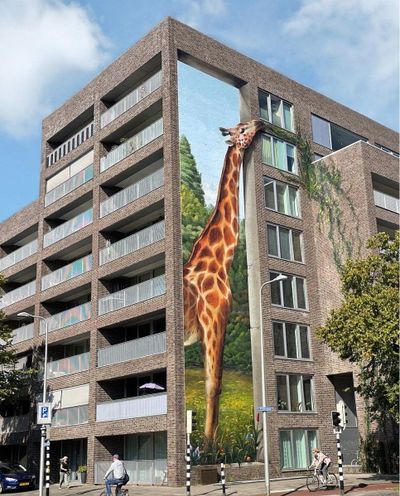 👓 Stuff #156 - Seoul Cave Mystery