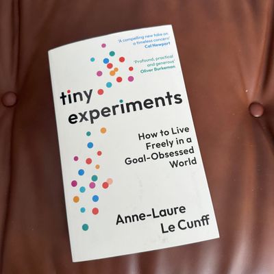 Tiny Experiments by Anne-Laure Le Cunff