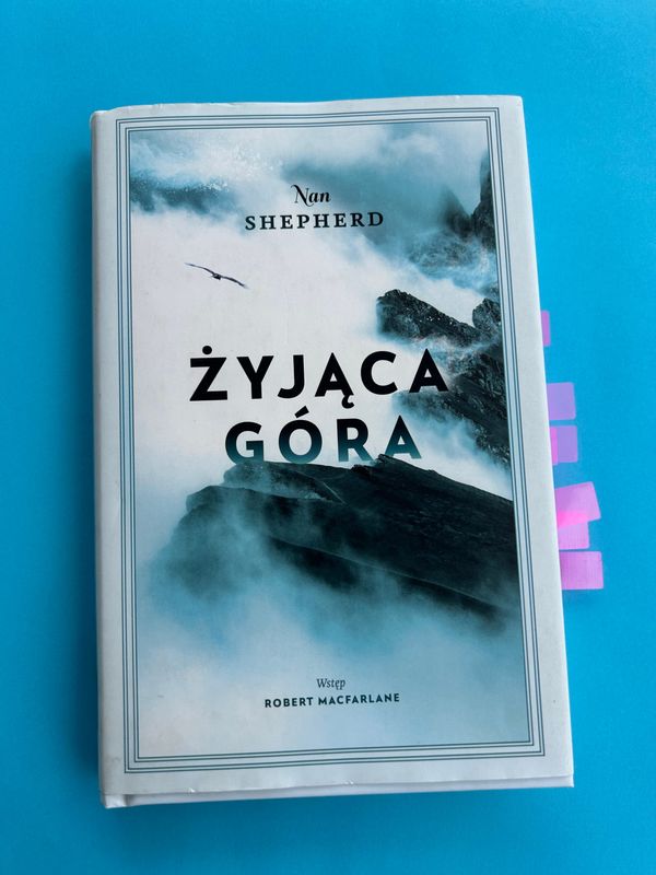 „Żyjąca góra”, czyli gdy mgła odsłania, a woda przestaje zakrywać dno