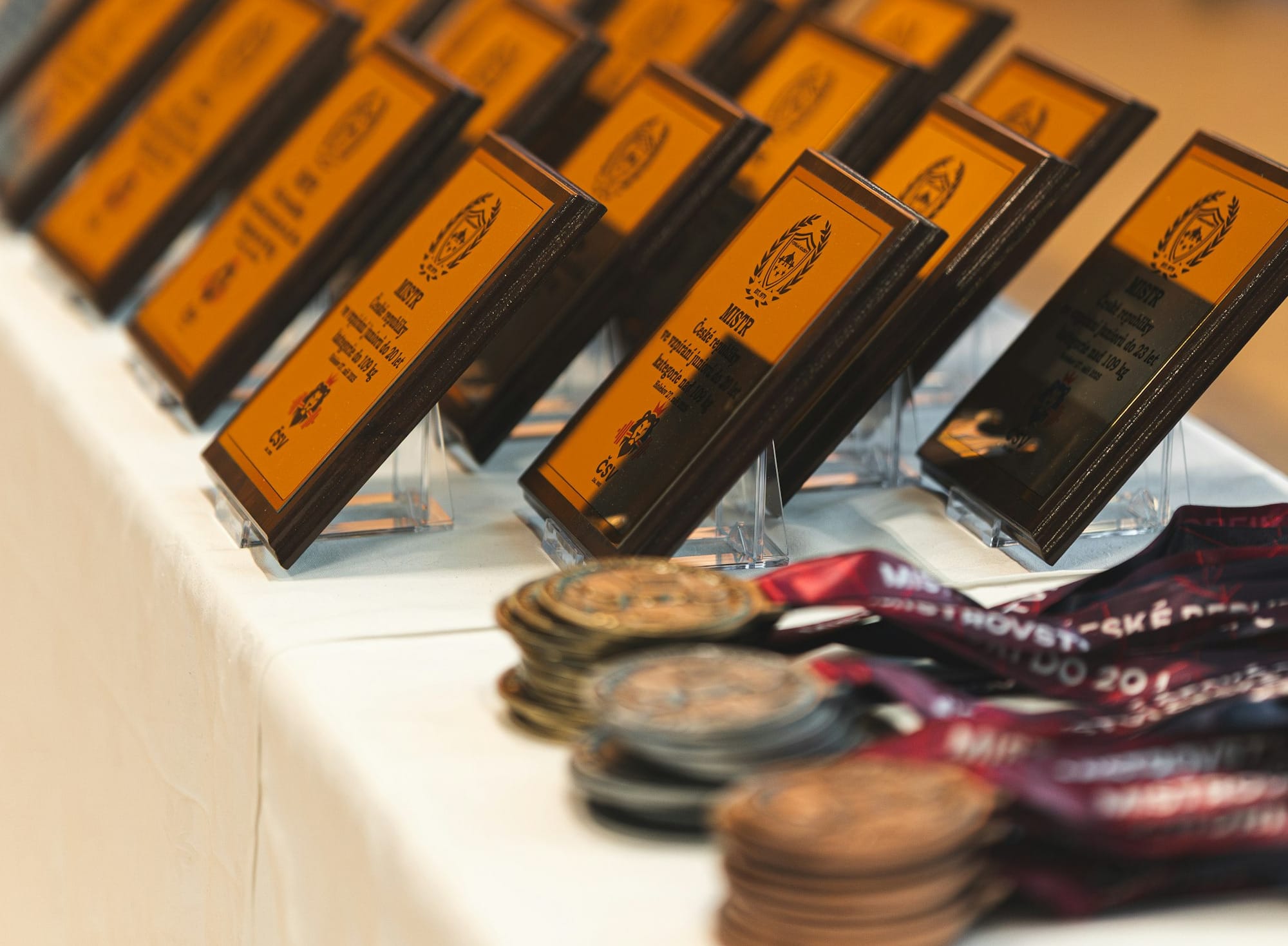 Rows of awards and medals displayed on a table.