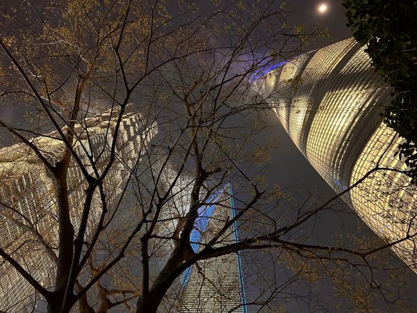 引导文｜降维忍受，还是升维向往。这辈子你选的是哪一个？