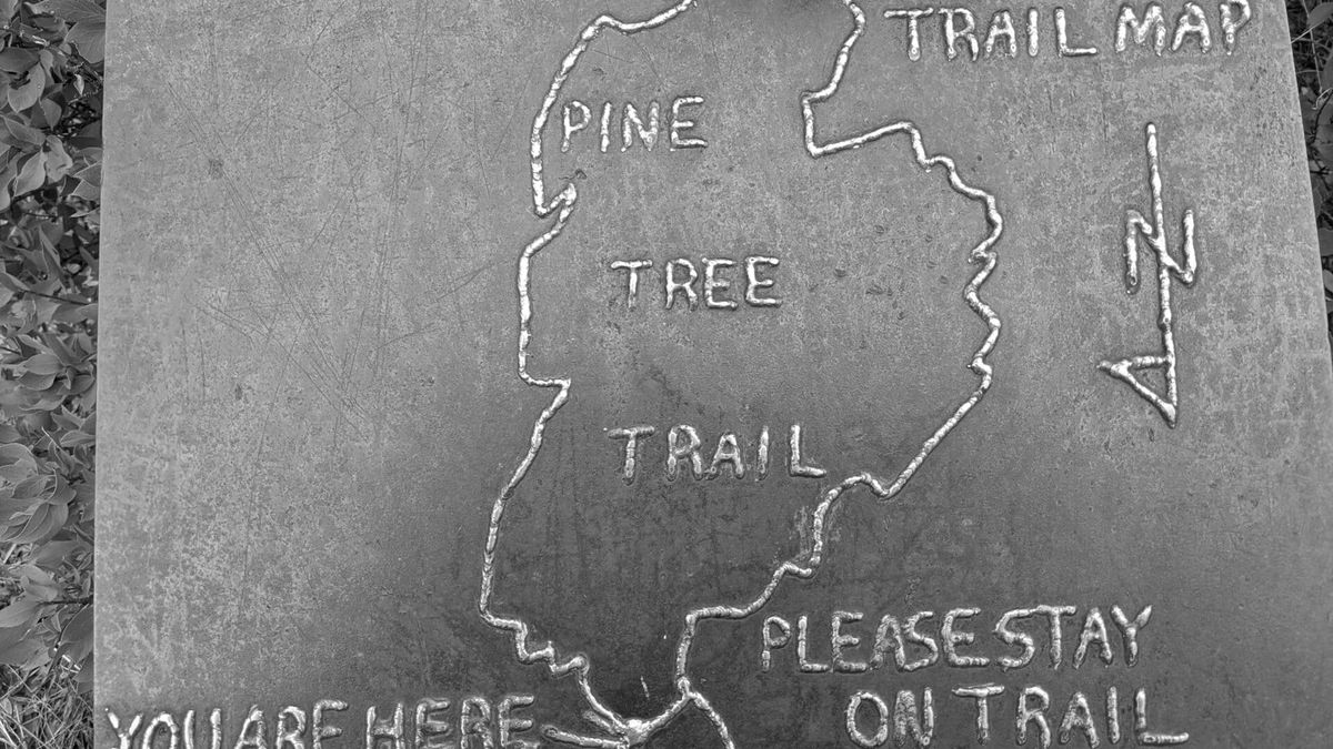 SRE Transformation: Our Thoughts