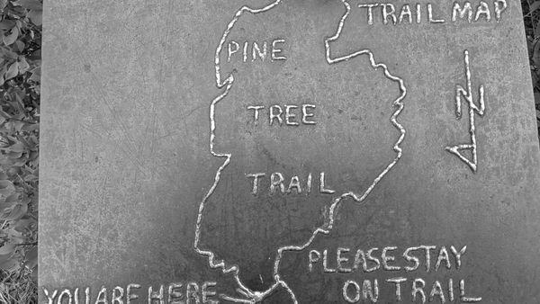 SRE Transformation: Our Thoughts