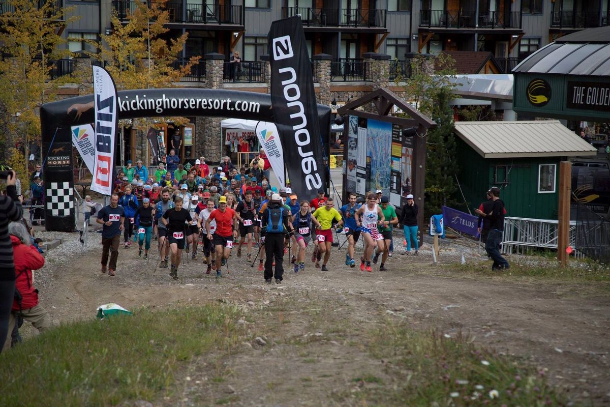 The Absolute Best Way to train!