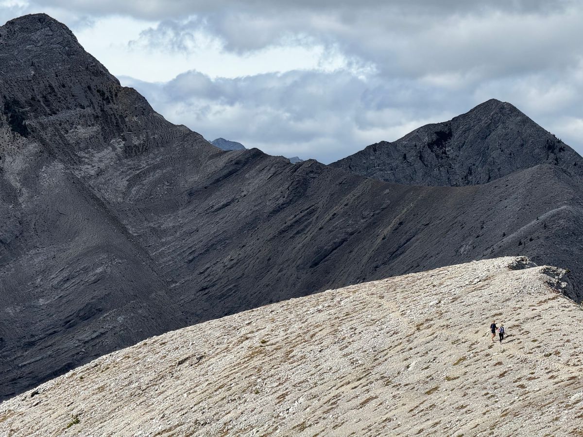 Legacy Cut Downs - 2 x (4-3-2-1)