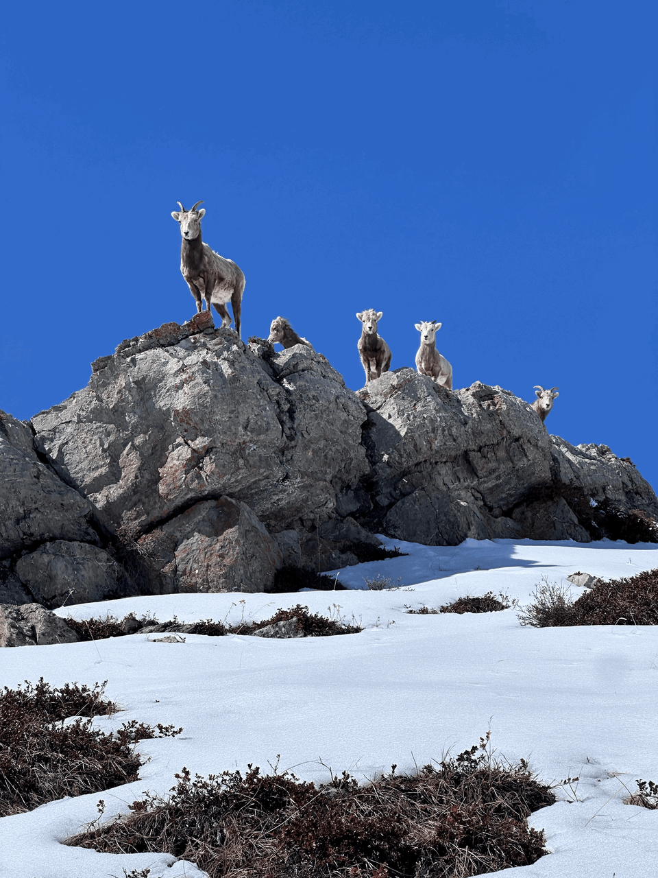 The Hilly 3,2,1 fartlek