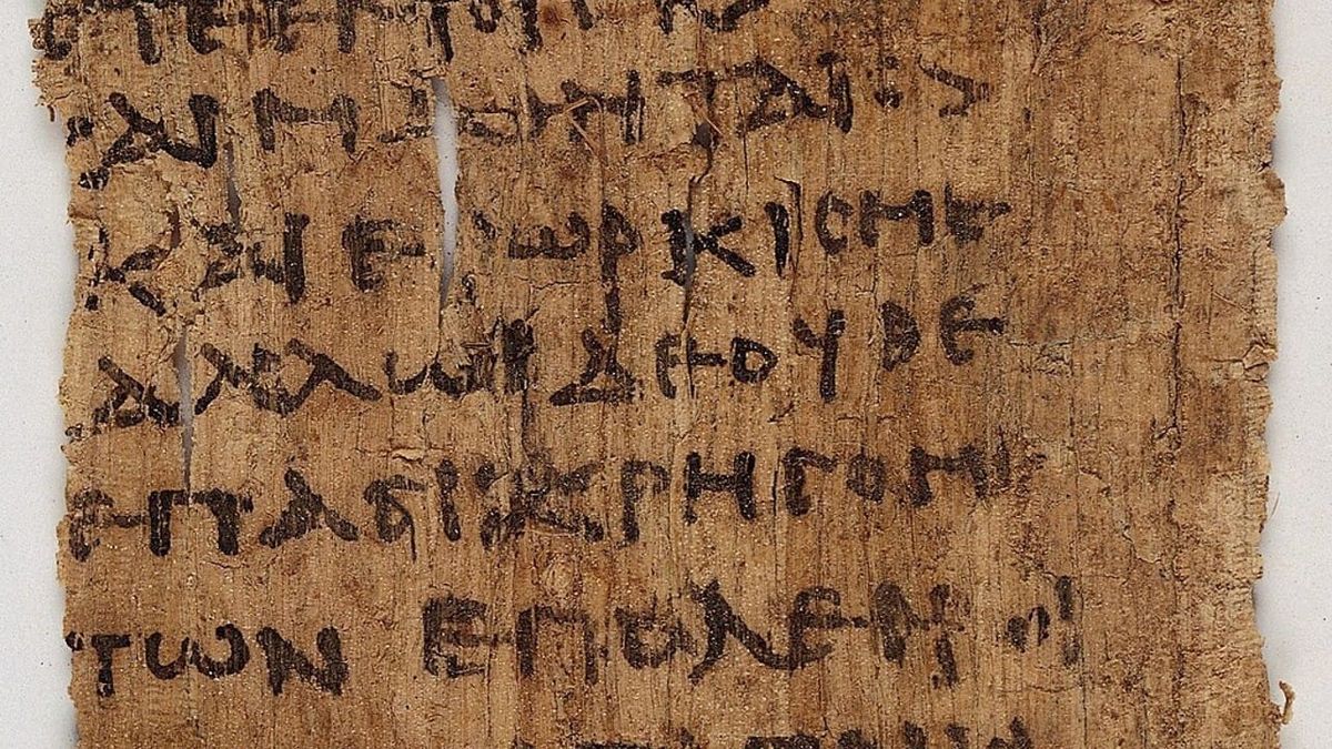 The Startup Board's Hippocratic Oath