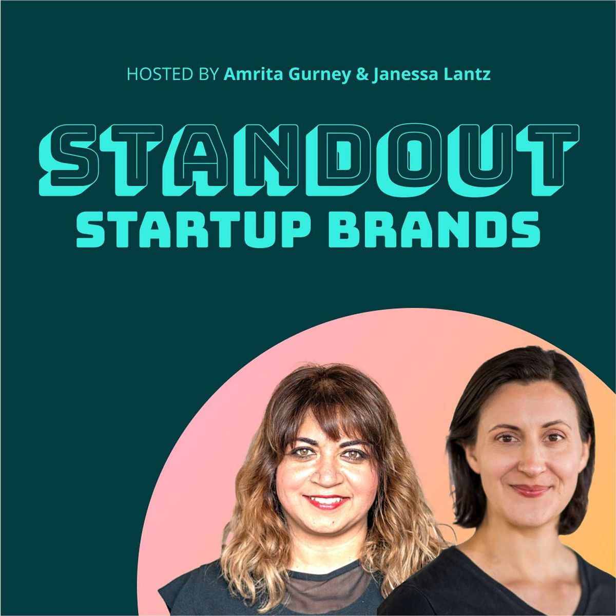 Who, Me?  The Brand Curmudgeon?  Appearance on the Standout Startup Brands Podcast