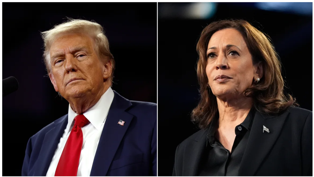 Seven Messaging Lessons from the 2024 Election