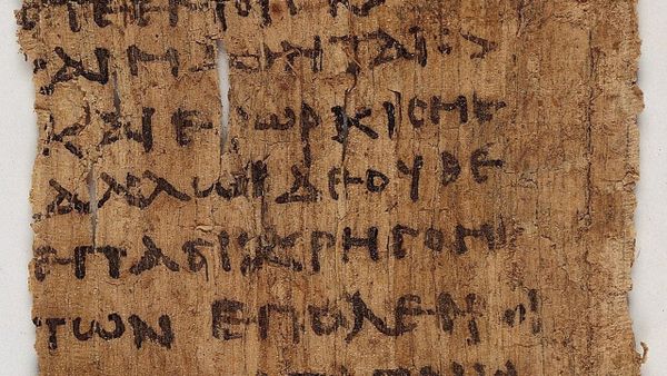 The Startup Board's Hippocratic Oath