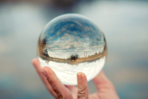 Kellblog Predictions for 2025