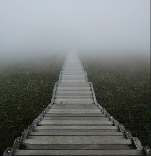 When Do Psychedelics Go Too Far?