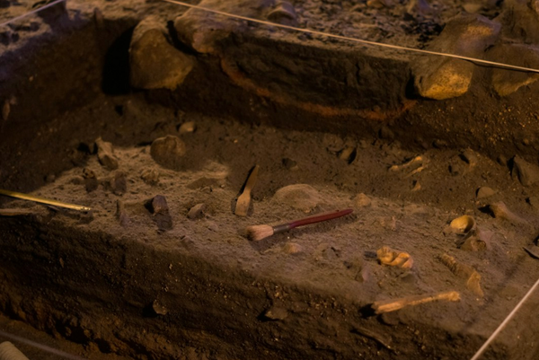 Humans Have Been Using Drugs for at Least 25,000 Years