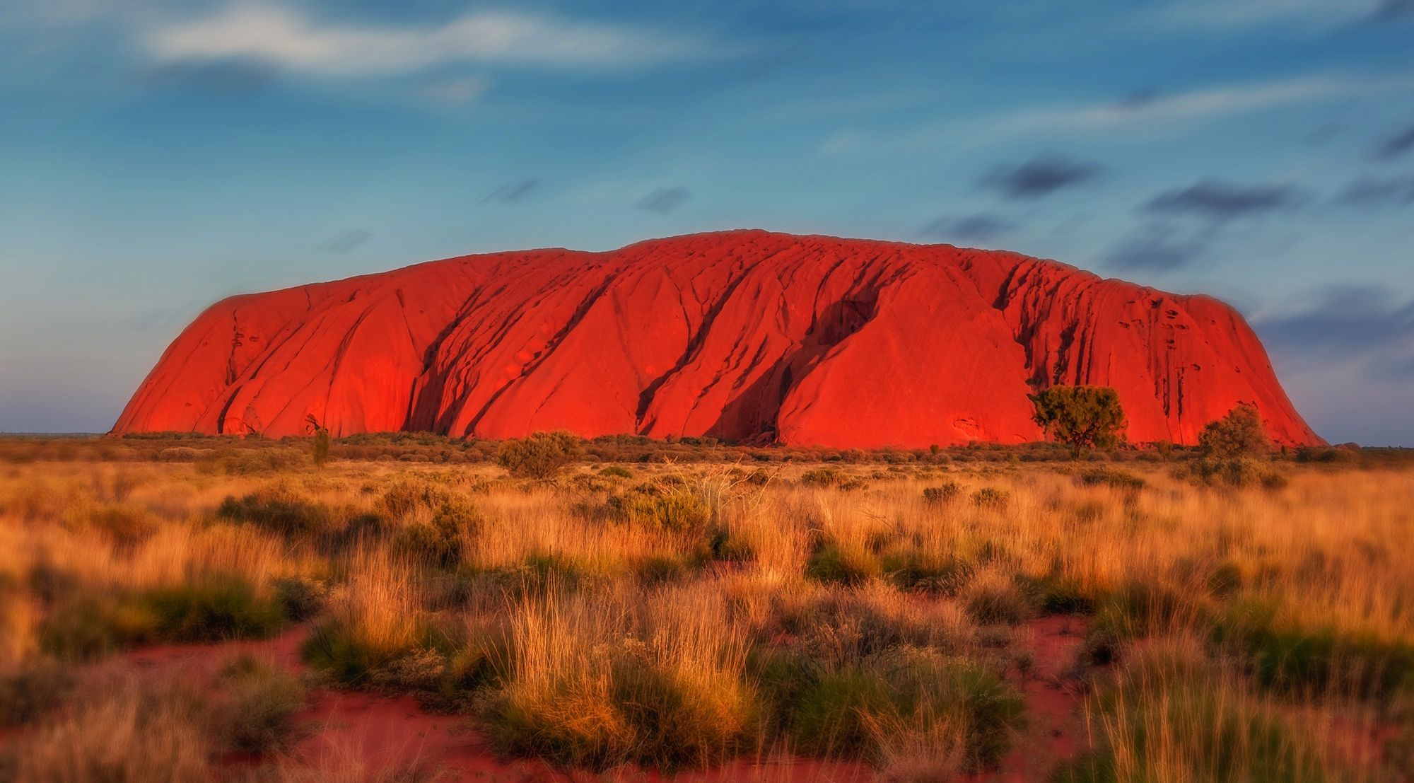 Australian Government Releases Initial Coin Offerings Issues Paper