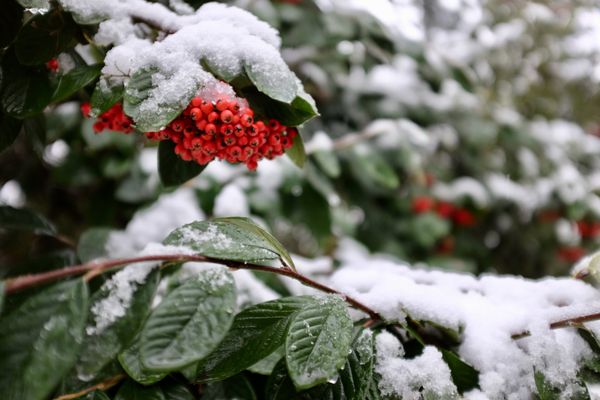 JS things I never knew existed