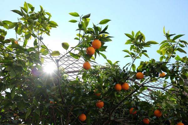 JS code-splitting with ES modules in the browser