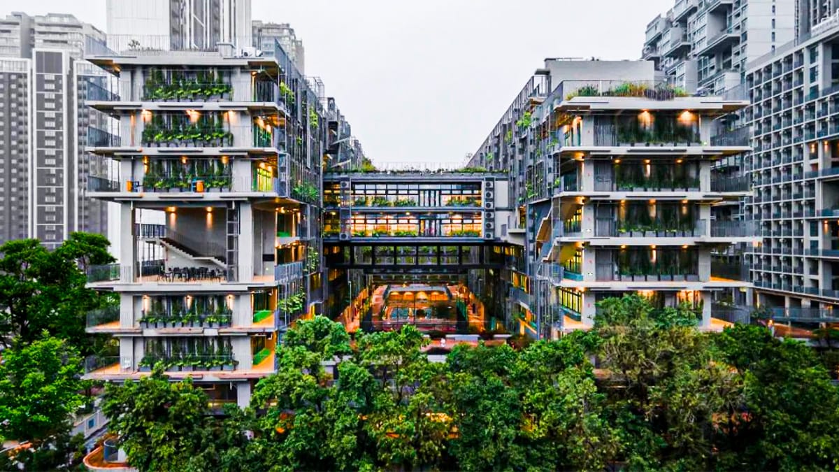 Shenzhen College of International Education campus building showing green trees and modern architecture.
