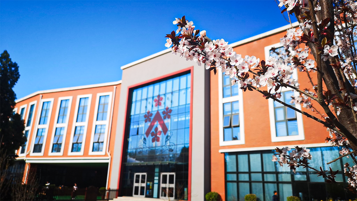 Dulwich College Beijing campus building with orange exterior and blooming cherry blossoms nearby.