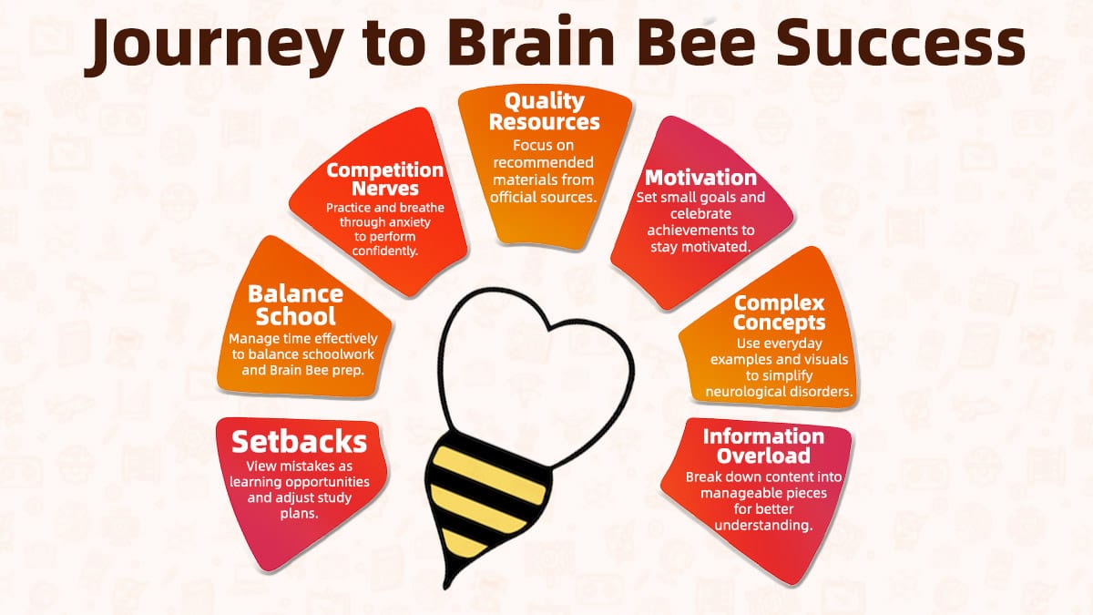 Journey to Brain Bee success infographic with study tips, motivation resources, balance, and competition preparation strategies.