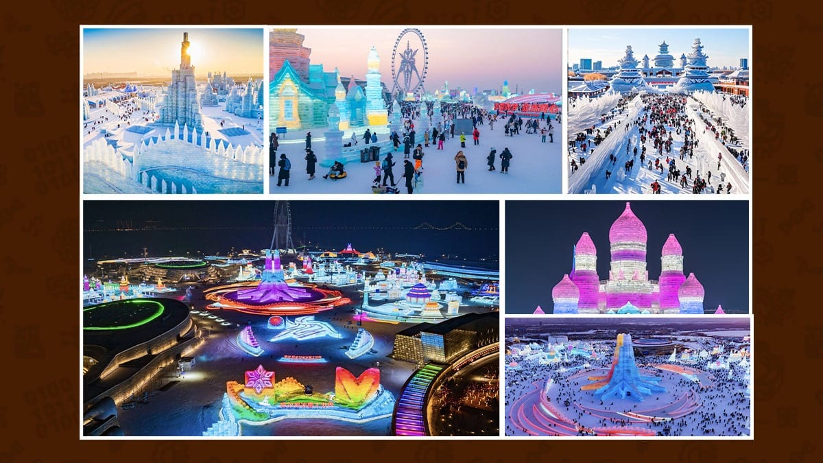 International schools in Harbin location showcasing ice and snow festival sculptures