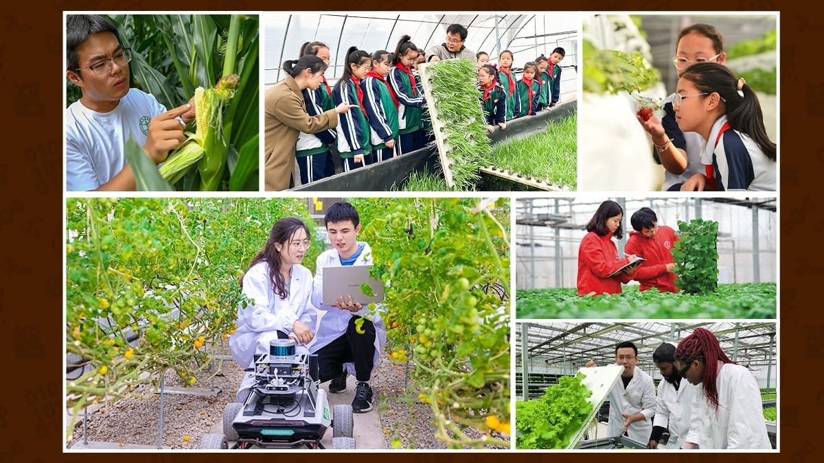 Study Abroad Program in China students learning greenhouse farming and crop research