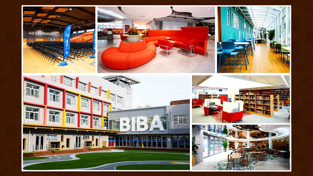 Bilingual International Bilingual Academy