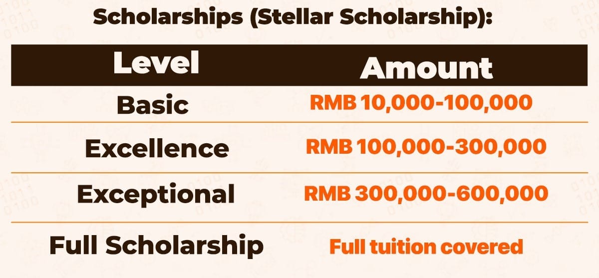 Stellart International School of Arts scholarship levels 