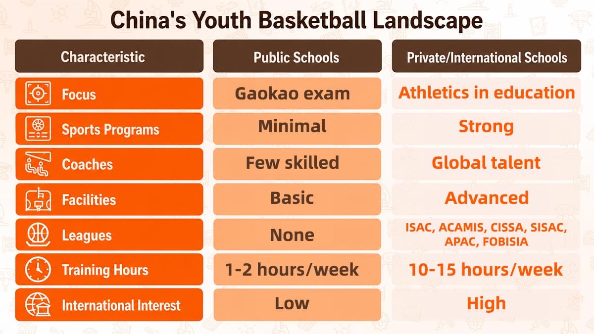 Basketball schools in China comparison chart: public vs private training hours and programs